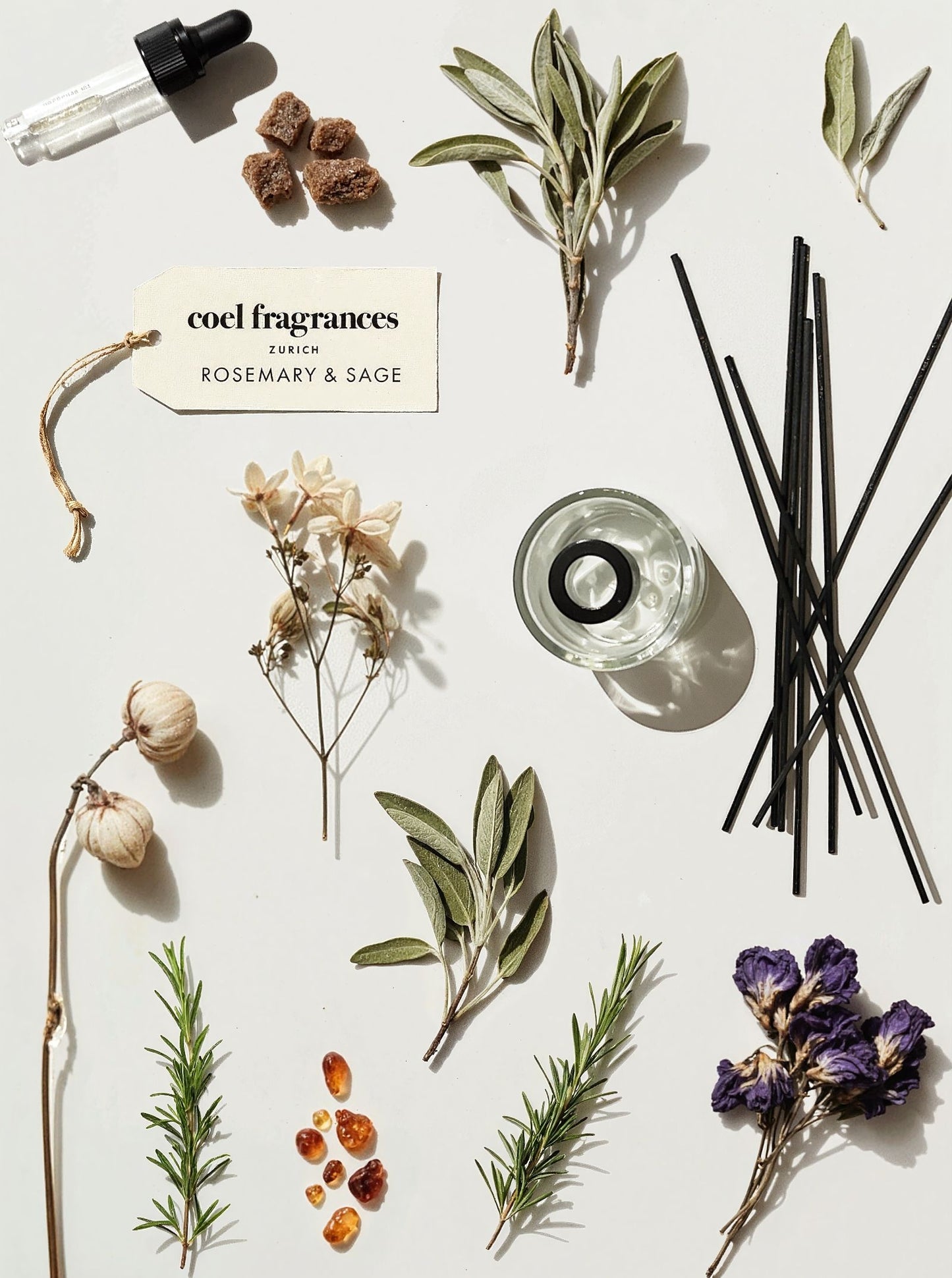 Coel Fragrances Raumduft Rosemary & Sage in einem minimalistischen Flatlay fotografiert