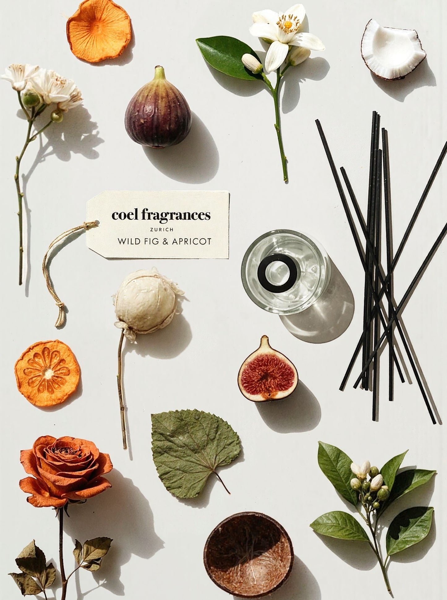 Coel Fragrances Raumduft Wild Fig & Apricot in einem minimalistischen Flatlay fotografiert