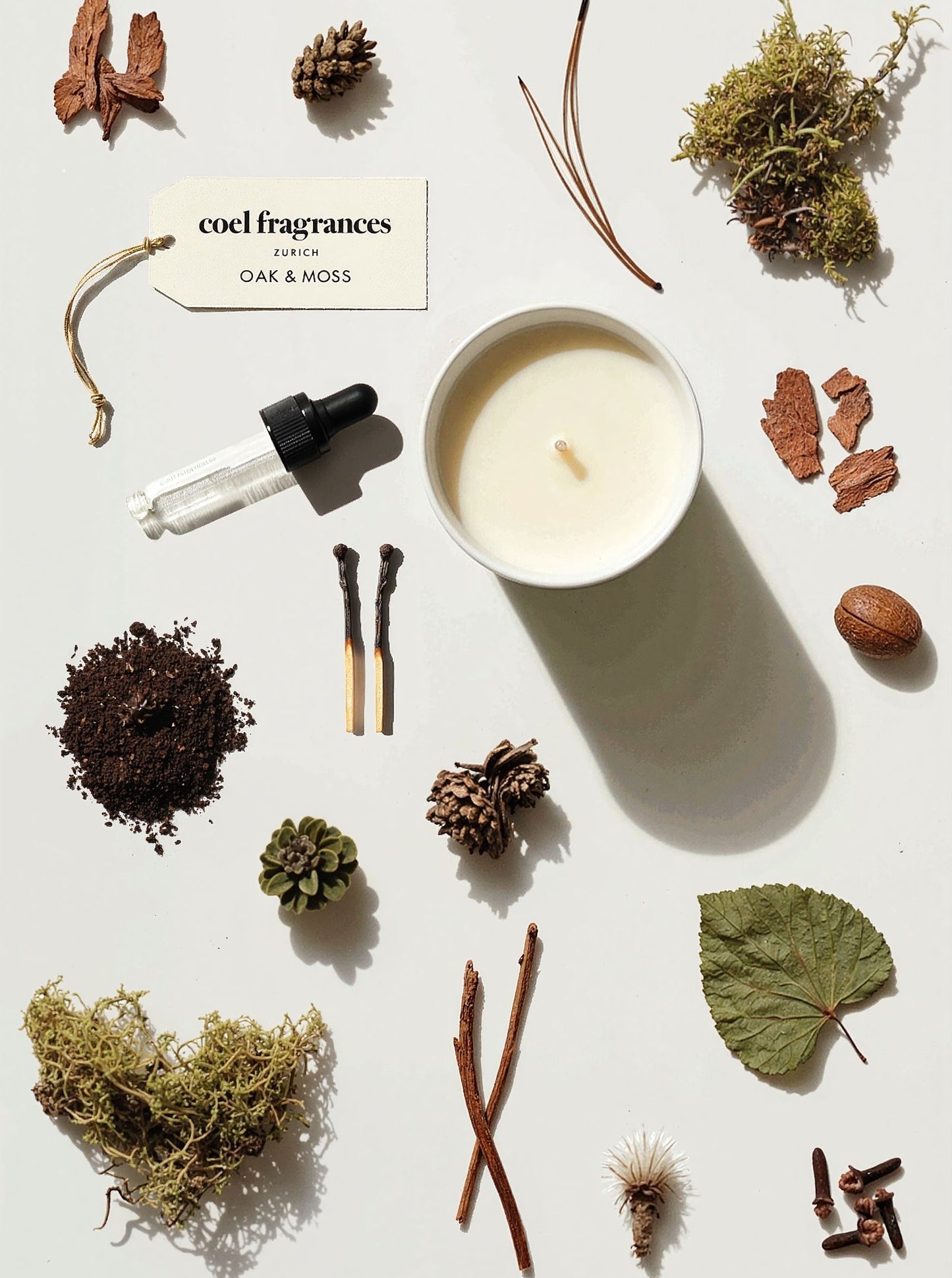 Coel Fragrances Signature Duftkerze Oak & Moss in einem minimalistischen Flatlay fotografiert
