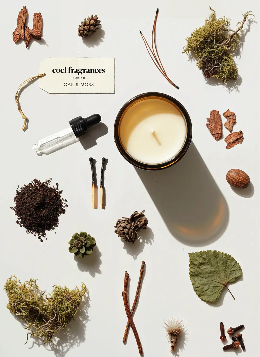 Coel Fragrances Atelier Duftkerze Oak & Moss in einem minimalistischen Flatlay fotografiert